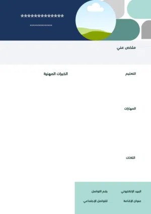 تصميم سيرة ذاتية احترافية بجودة عالية