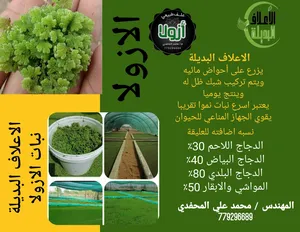 Animal Food . Farm Animals3