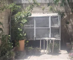 شبك طيور او حمام بتصميم احترافي طول متر وربع  وعرض 3 متر و ارتفاع متر وسبعين على قواعد