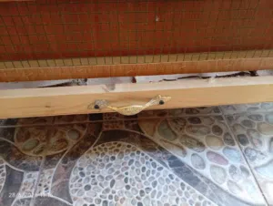 قفص عصافير