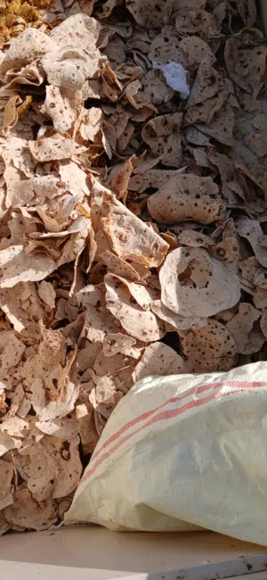 khuboos for sale