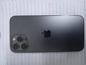 Apple iPhone 12 Pro Max 256 GB in Amman
