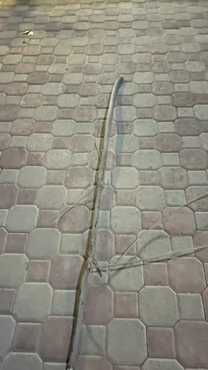 عصى عتم عمان