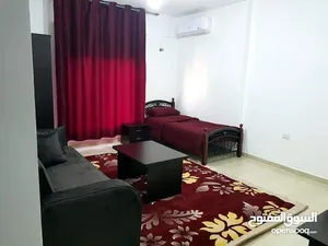 25 m2 Studio Apartments for Rent in Amman University Street
