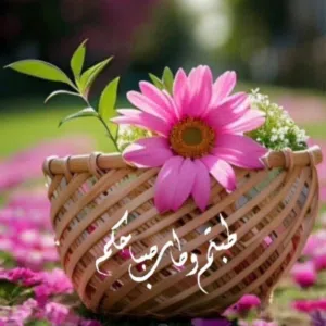 العراقي 22 