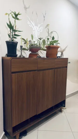 Shoe Cabinet-Excellent Condition