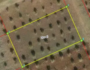Residential Land for Sale in Irbid Al Sareeh