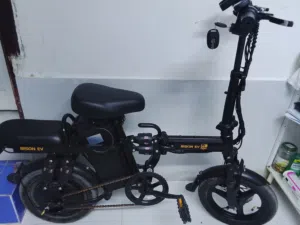 Bison Ev new scooter