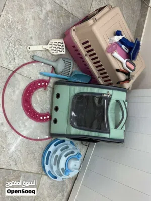 اغراض قطط كاملة للبيع بغرض السفر