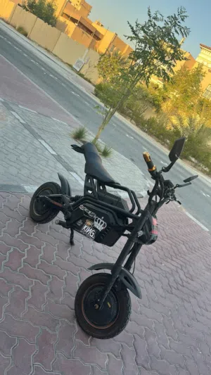 Kugoo runner 02