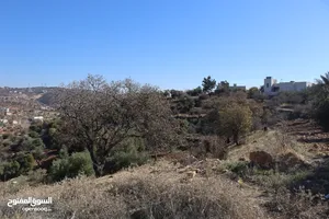(1)ارض للبيع بدر االجديده ام فروه 1060م سكن ب عادي على شارع 20