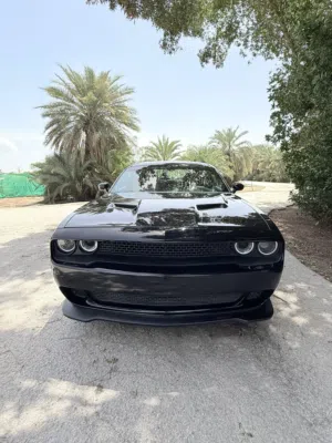 DODGE CHALLENGER (2019)
