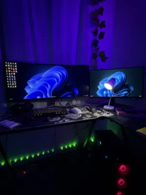 Full gaming setup