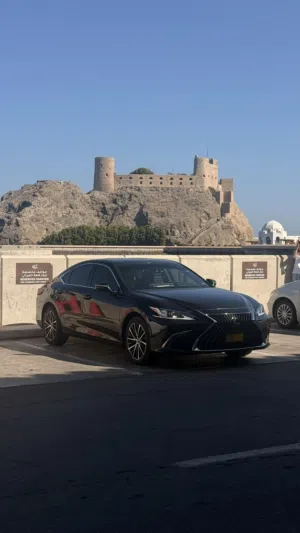 لكسز إي أس 250 AWD 2022
