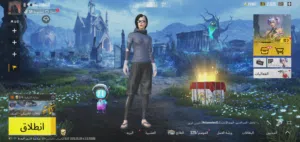 حساب ببجي  العالميه