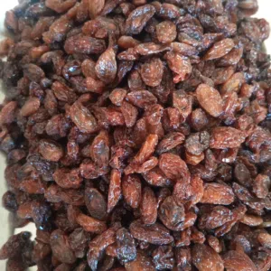 زبيب بلدي للبيع