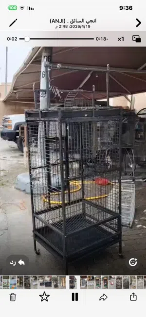 قفص كبير للطيور الناطقة والكبيرة