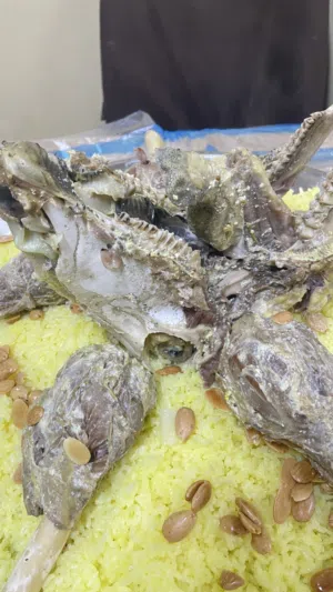 منسف ابو عمر جرب وانت الكسبان