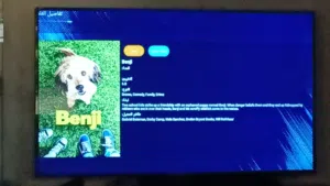 شاشة 42 نوع جنرل دلوكس
