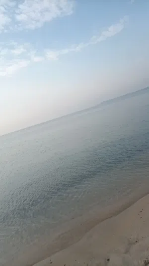 عبدالعزيز 