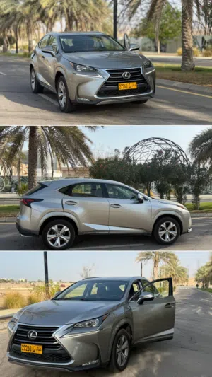 Used Lexus NX in Muscat
