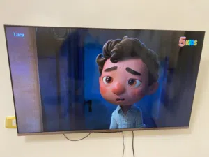 55بوصة شاشة 4K
