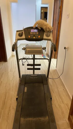 سير مشي لجماعة التمرين ورجيم