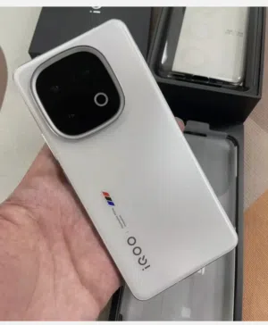 VIVO IQOO 13 LEGEND EDITION 12/256 VARIANT