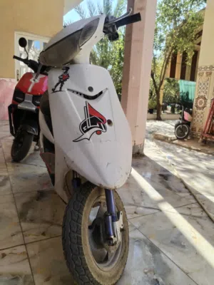 دراجة عصفوري سعرها 300 اقره الوصف مهم