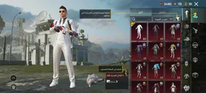 Pubg Accounts and Characters for Sale in Al-Mahrah