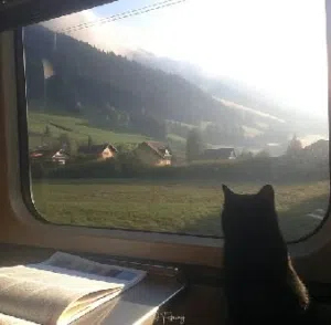 paradise 