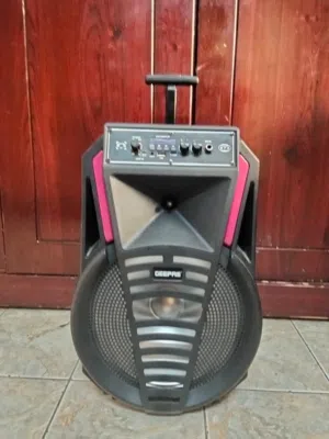 GEEPAS RECHARGEABLE SPEAKER