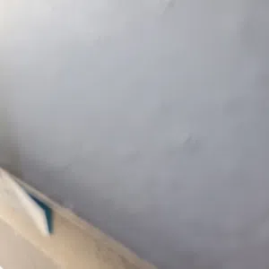 البرنس 