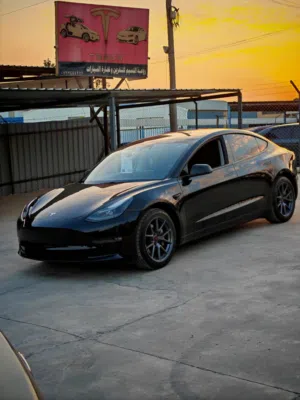 Used Tesla Model 3 in Amman