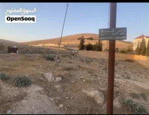 Residential Land for Sale in Zarqa Birayn