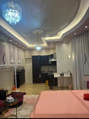 2533655 m2 Studio Apartments for Rent in Abu Dhabi Khalifa City