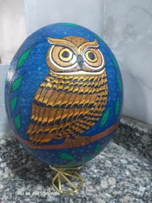 نقش وتنقيط عابيض النعام