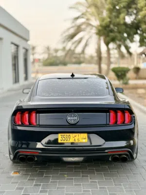 Mustang BULLETT 2020