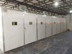 مطلوب شريك او ممول