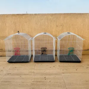 اقفاص كوكتيل بحالة جيدة و مستلزمات القفص