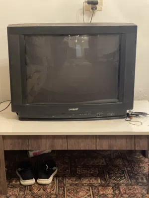 تلفزيون TV