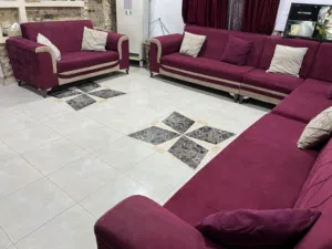تخم قنفات للبيع