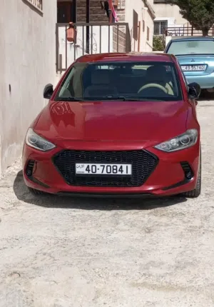 Used Hyundai Elantra in Irbid