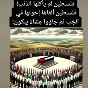 حجر المرجان 