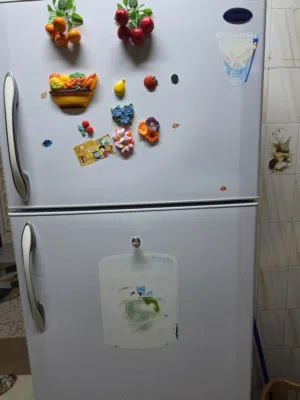 وكاله ولا خدش