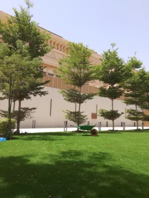 Professional Landscape & Garden Maintenance Services  خدمات تنسيق وصيانة الحدائق الاحترافية