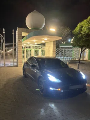 Tesla model 3 standard plus 2019
