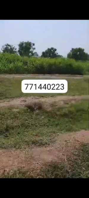 Farm Land for Sale in Al Hudaydah Other