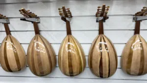 اعواد تعليمى