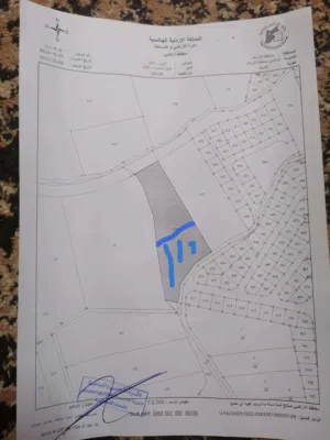 Mixed Use Land for Sale in Zarqa Al-Kamsha
